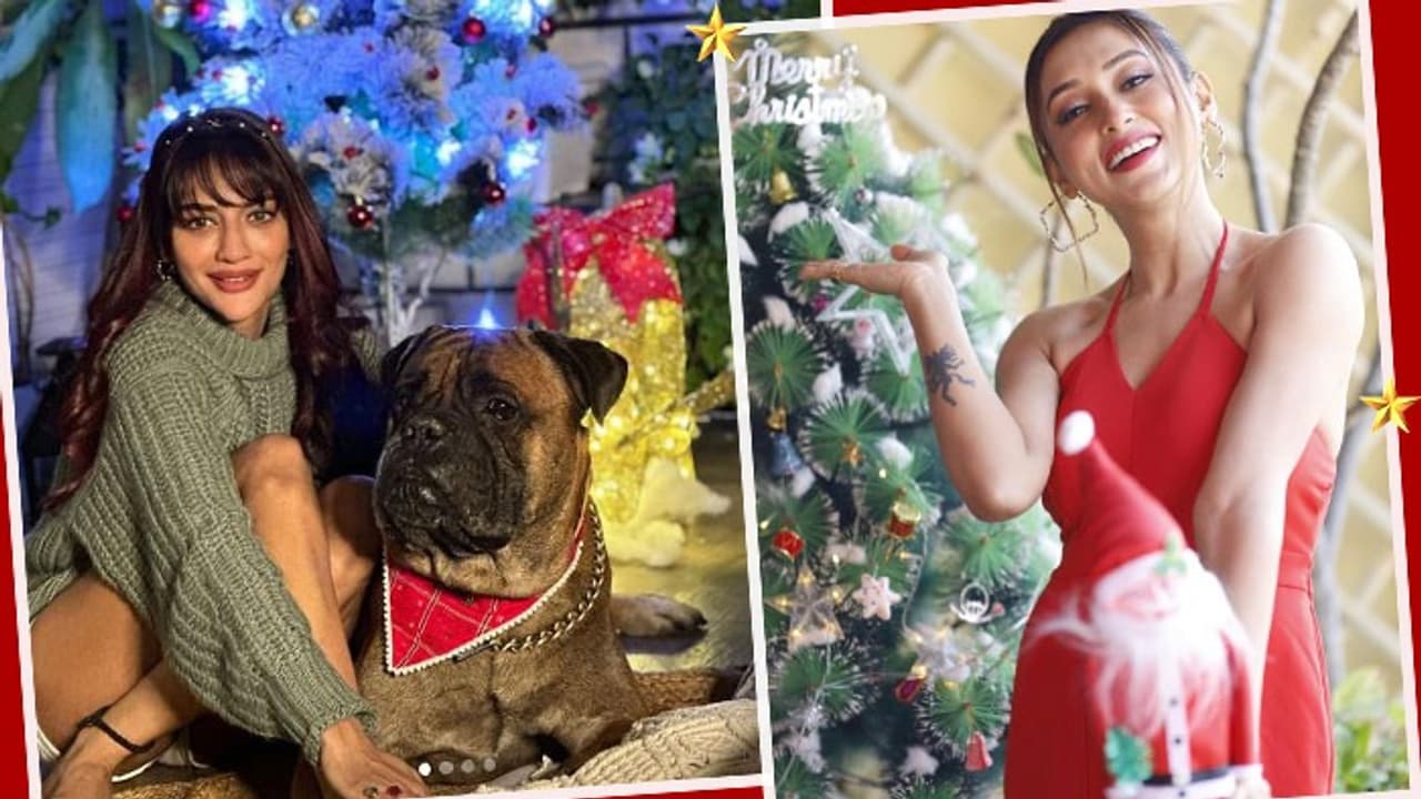 Christmas Celebration Christmas Celebration