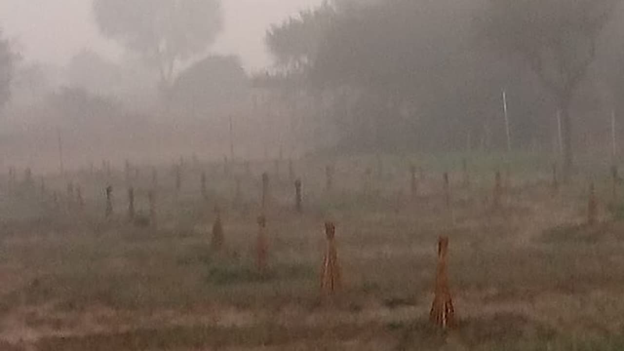 rajasthan news rajasthan news