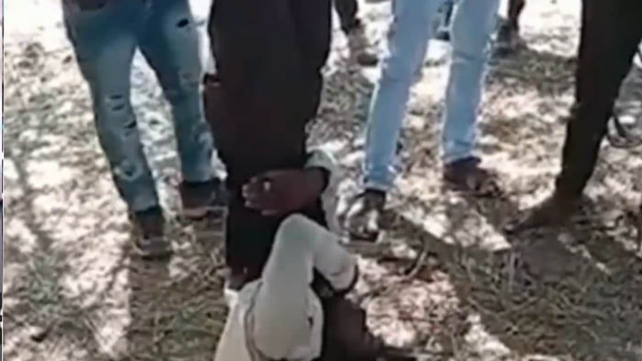 Udaipur News shocking crime stories watch video and cctv footage Udaipur News shocking crime stories watch video and cctv footage