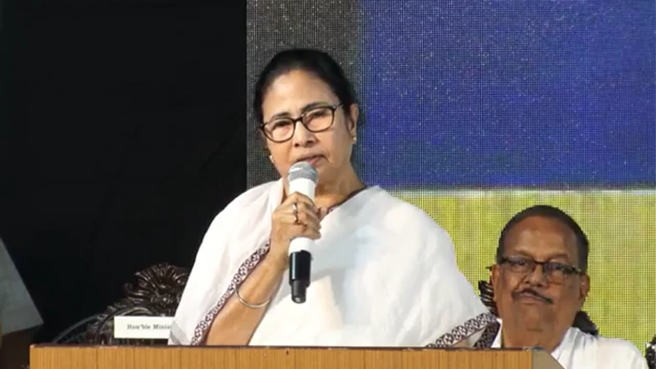 মমতা মমতা