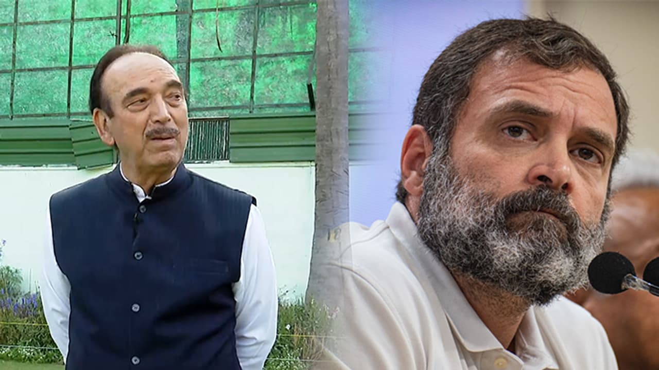 gulam rahul gulam rahul