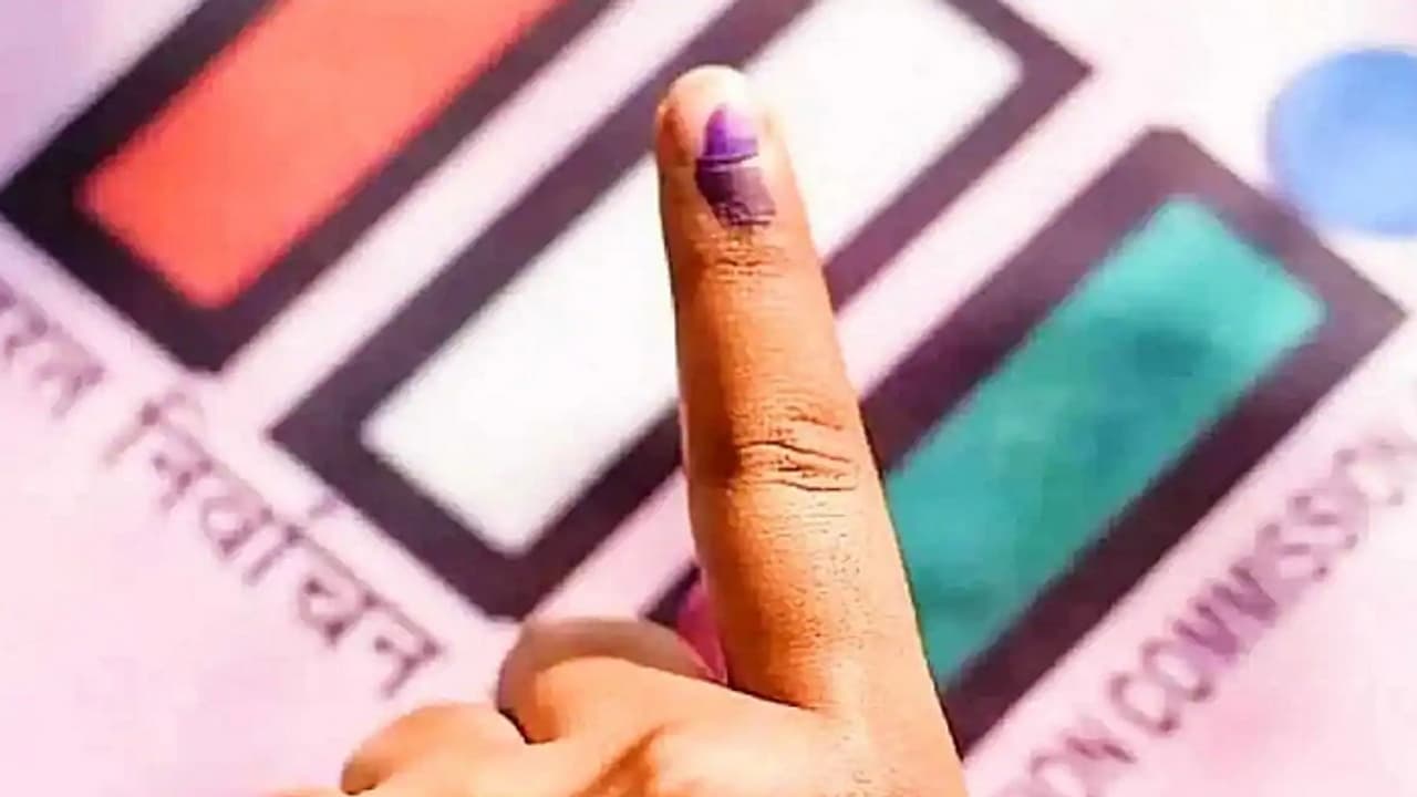 up nikay chunav up nikay chunav