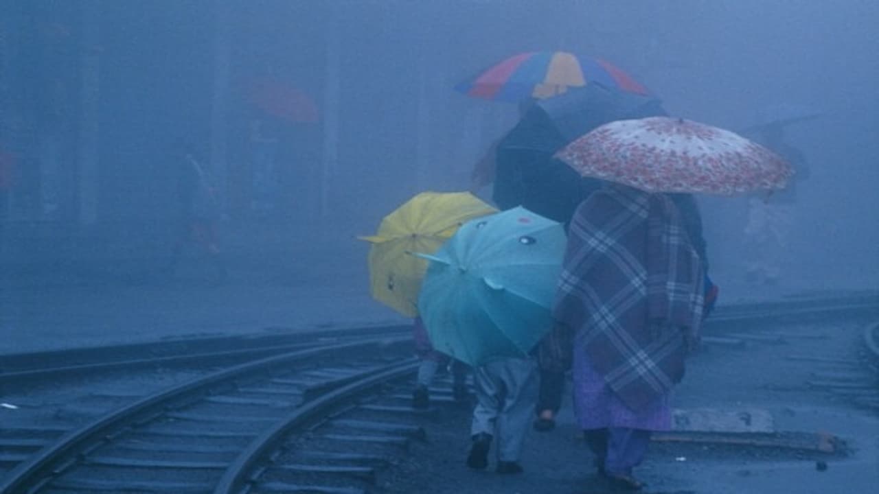 Darjeeling Darjeeling