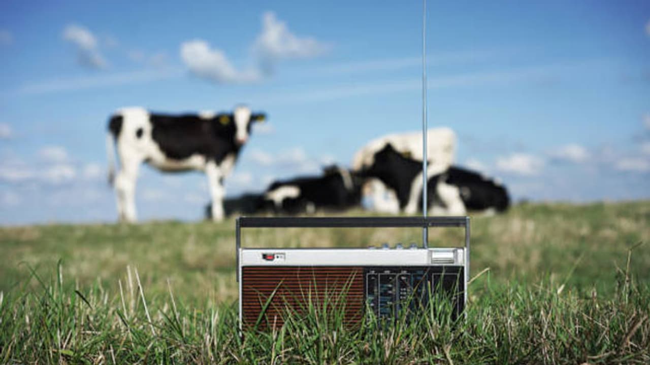 NDRI Unique Research NDRI Unique Research