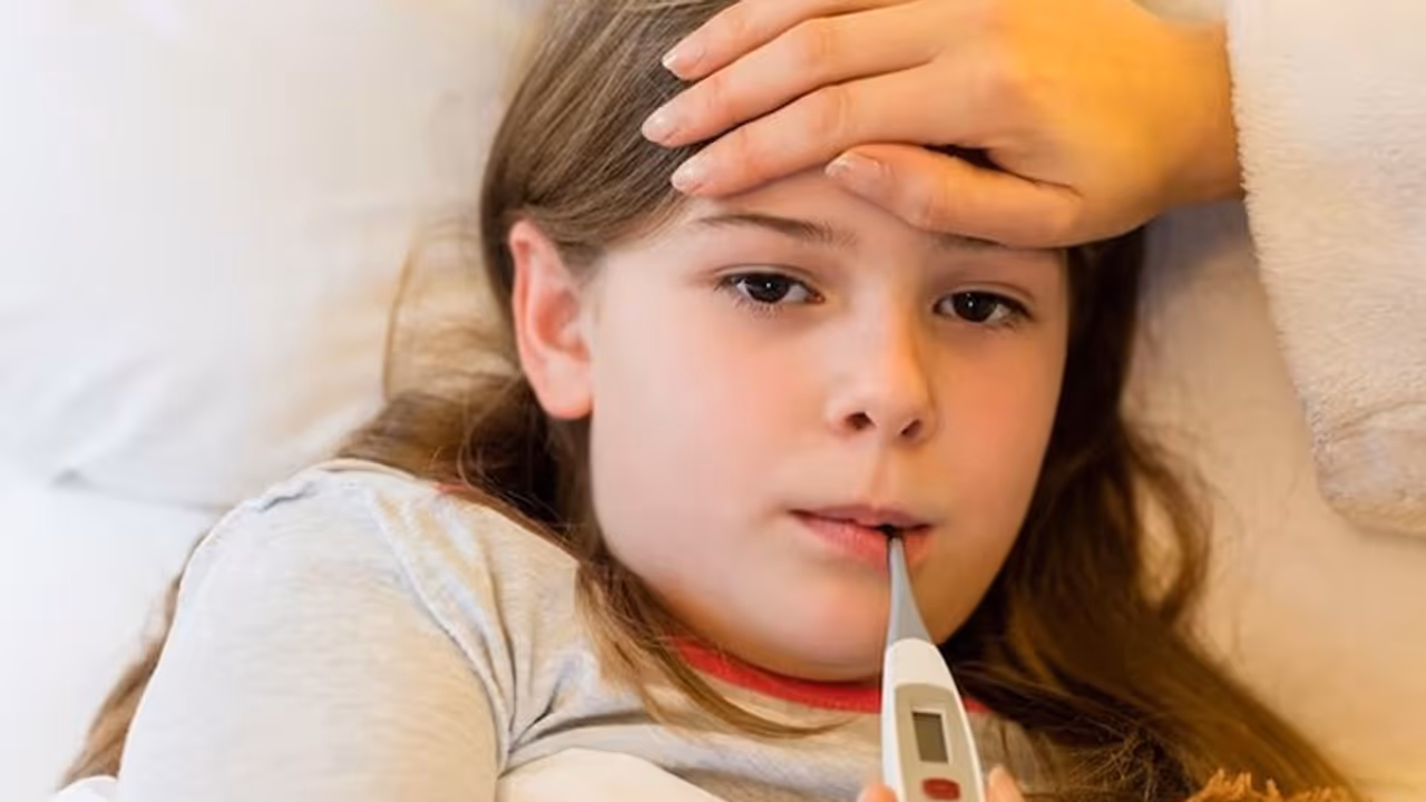 Malaria Fever Malaria Fever