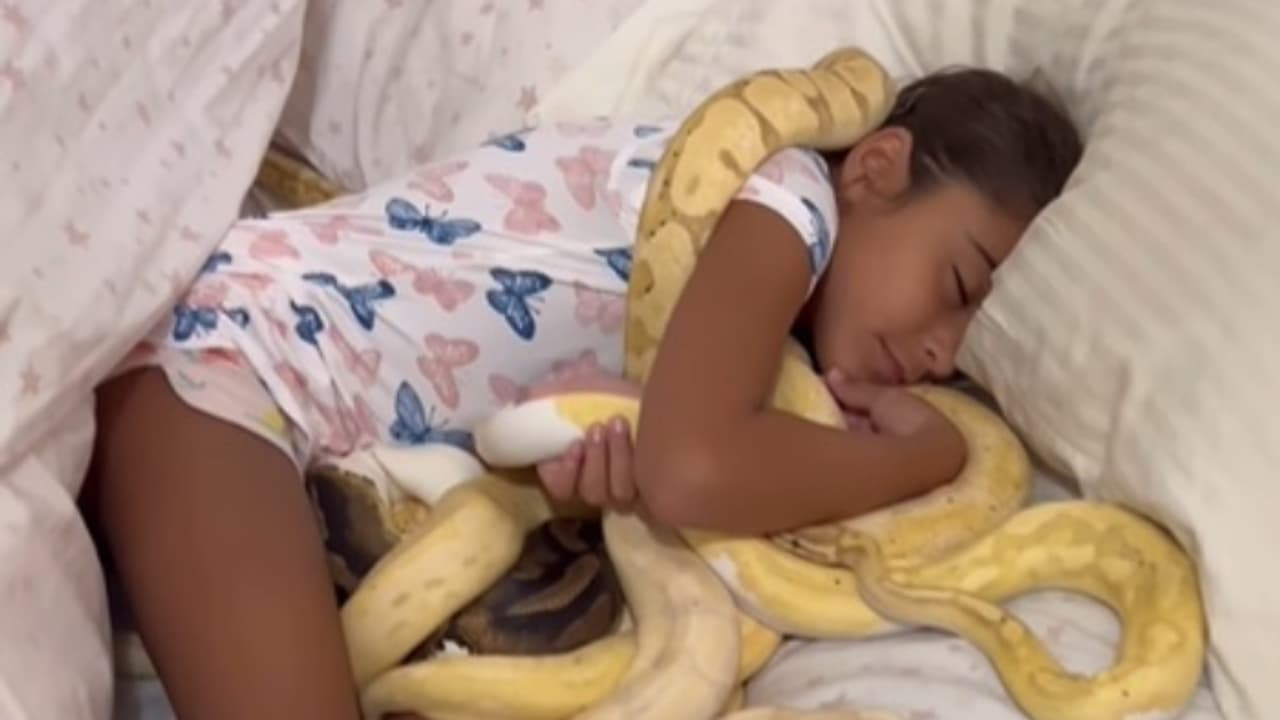 Sleeping with snakes
