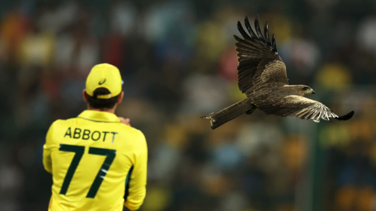 Australia vs Pakistan Australia vs Pakistan