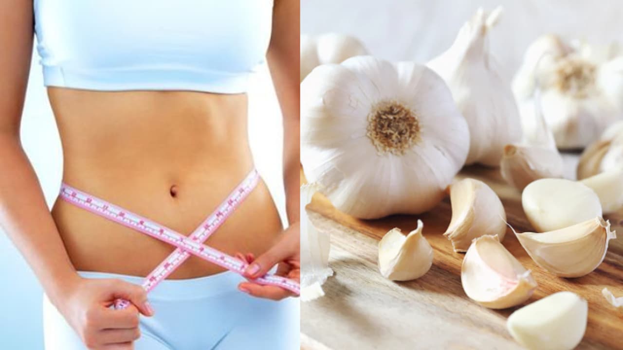 garlic belly fat garlic belly fat