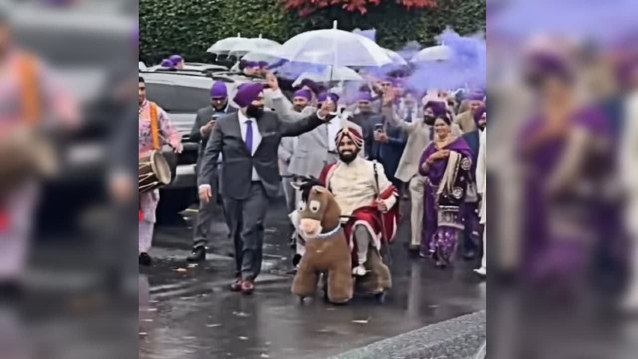 viral video viral video