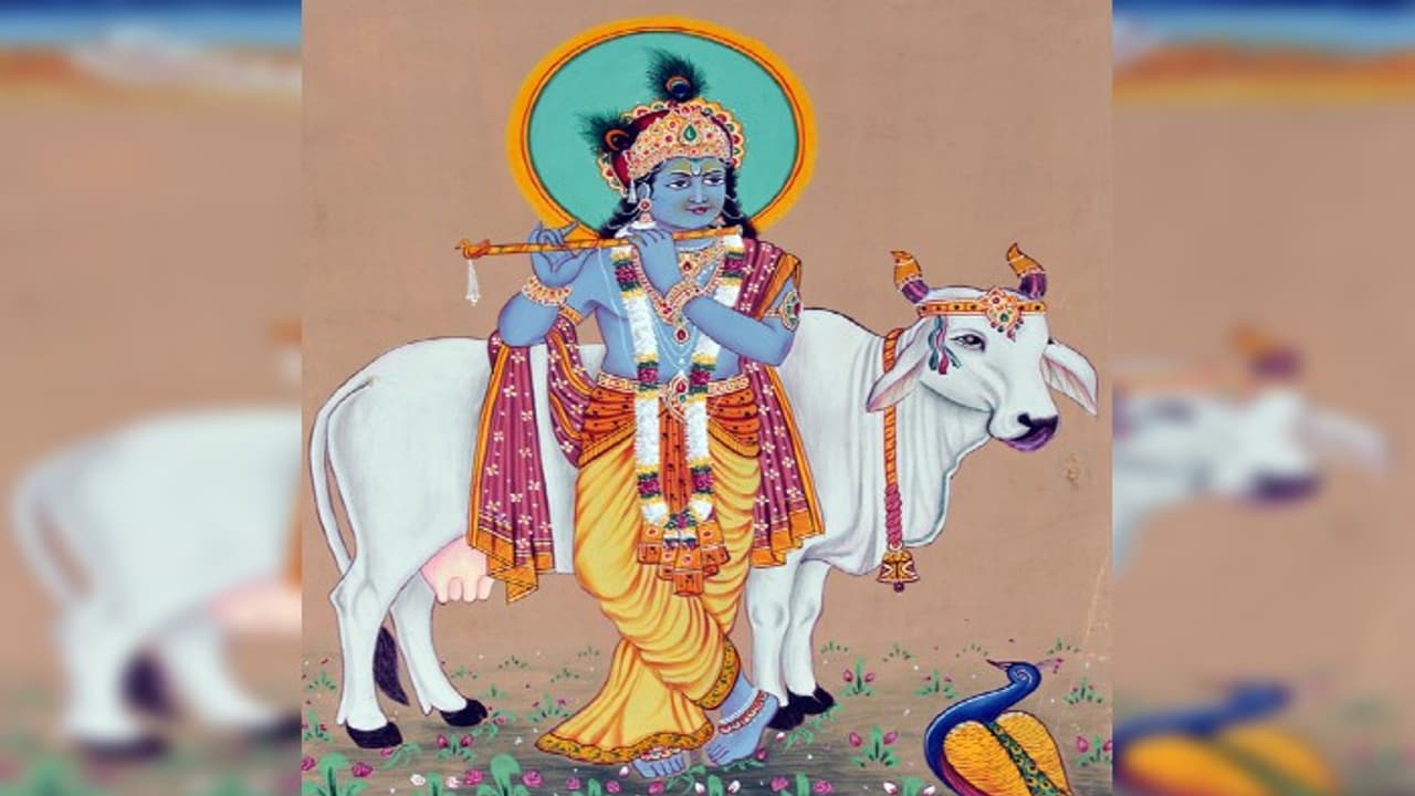 krishna krishna