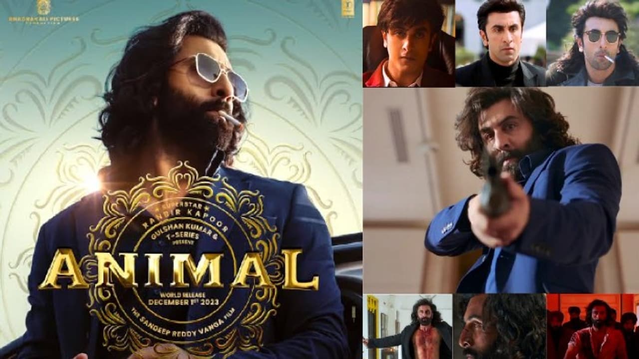 Animal Movie Review Animal Movie Review