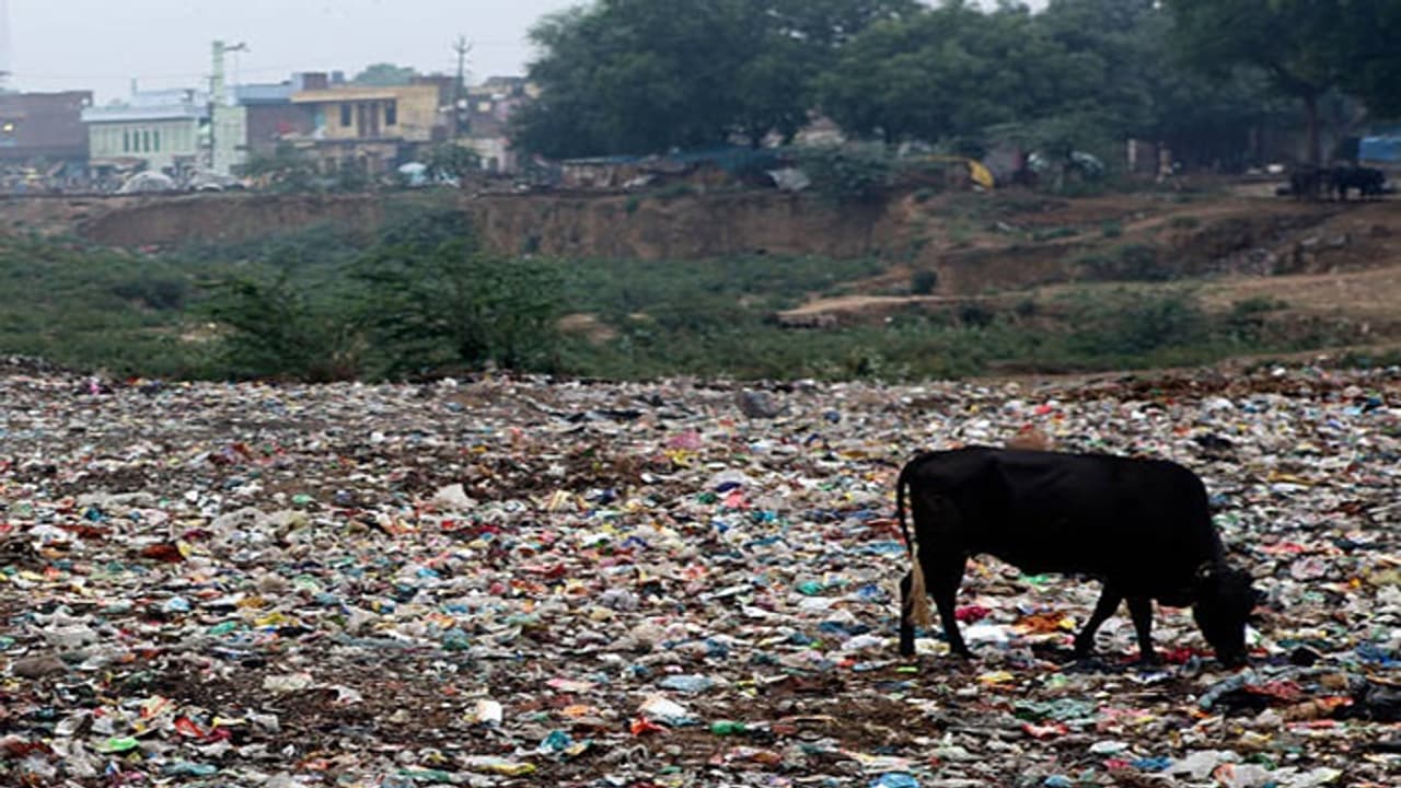 Most Polluted City Most Polluted City