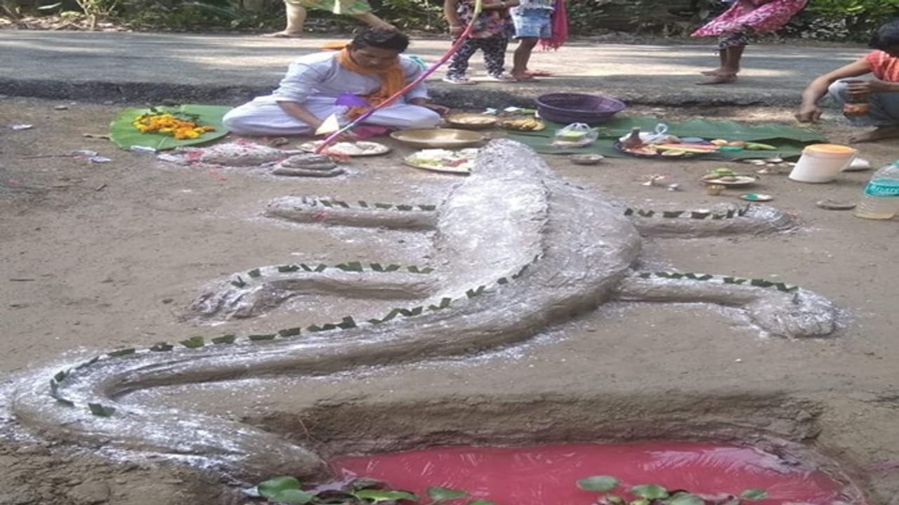 makar sankranti makar sankranti