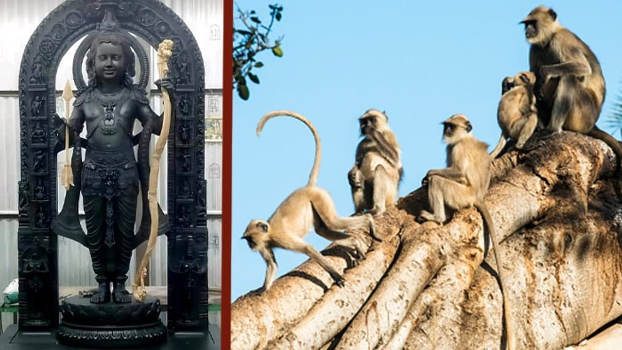 Ram Mandir Darshan Ram Mandir Darshan