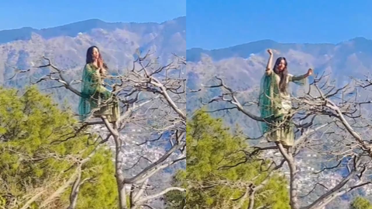 Viral Video Viral Video