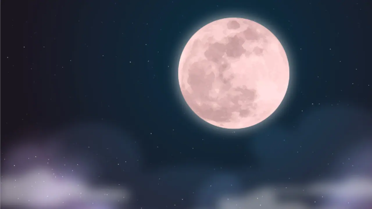 Pink Moon Pink Moon