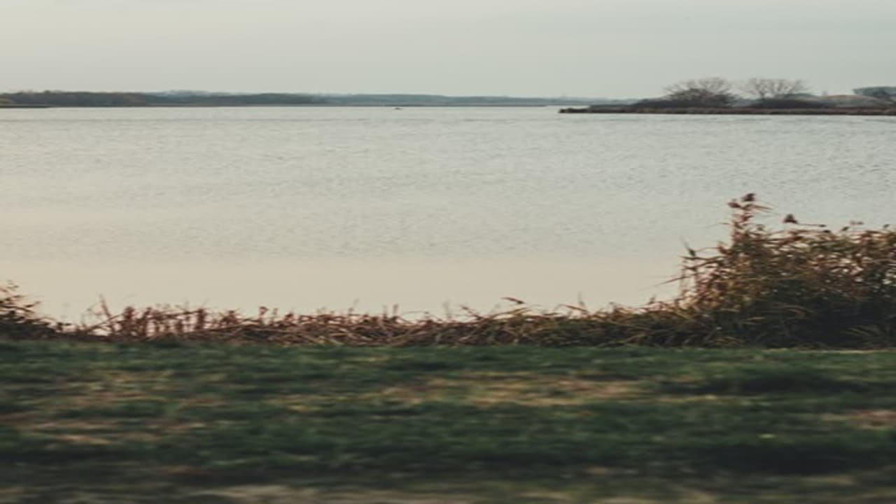 Three teenagers drown in pond in Tiljala west bengal anbak Three teenagers drown in pond in Tiljala west bengal anbak