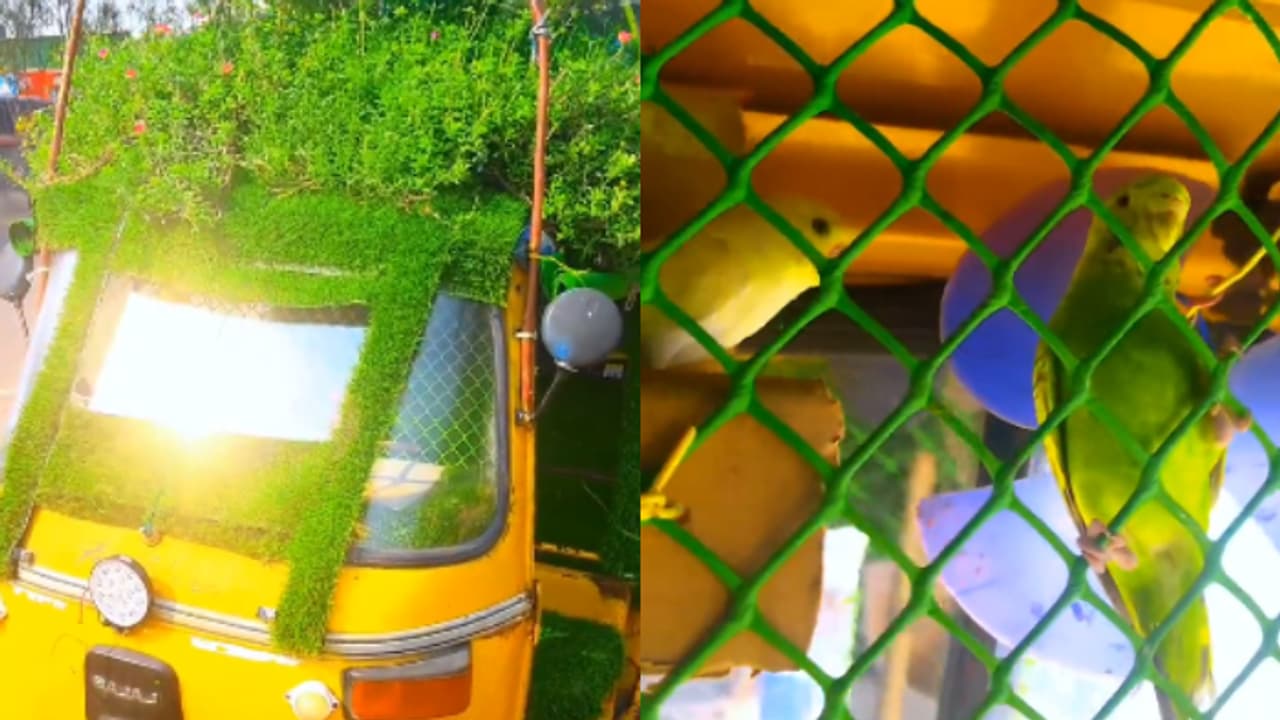 Eco friendly Auto Eco friendly Auto