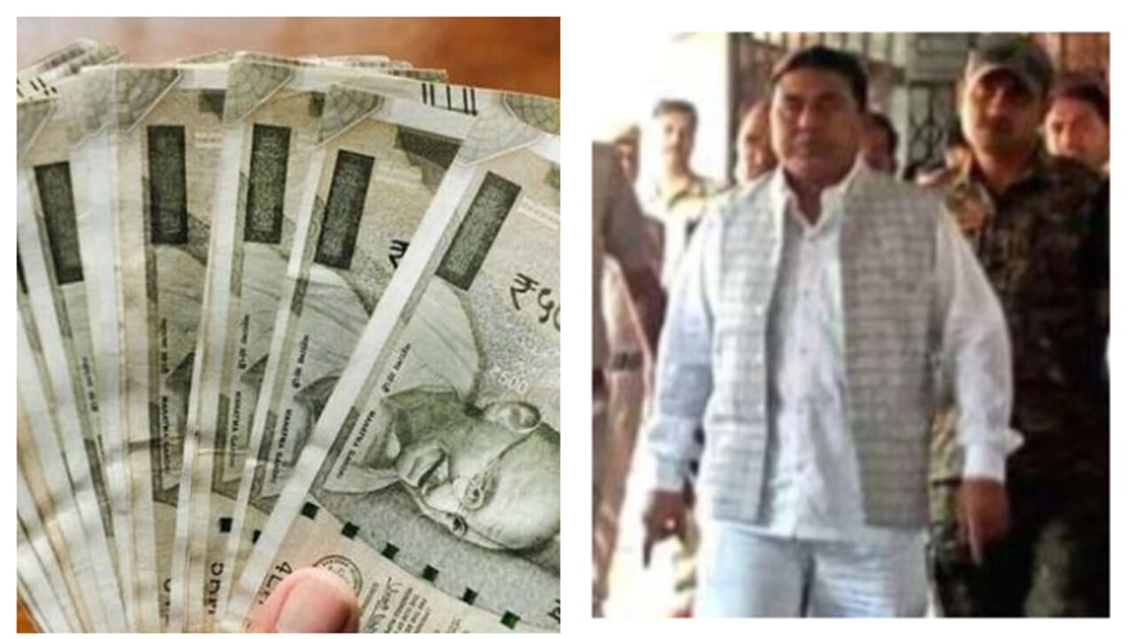 Sheikh Shahjahan Sheikh Shahjahan