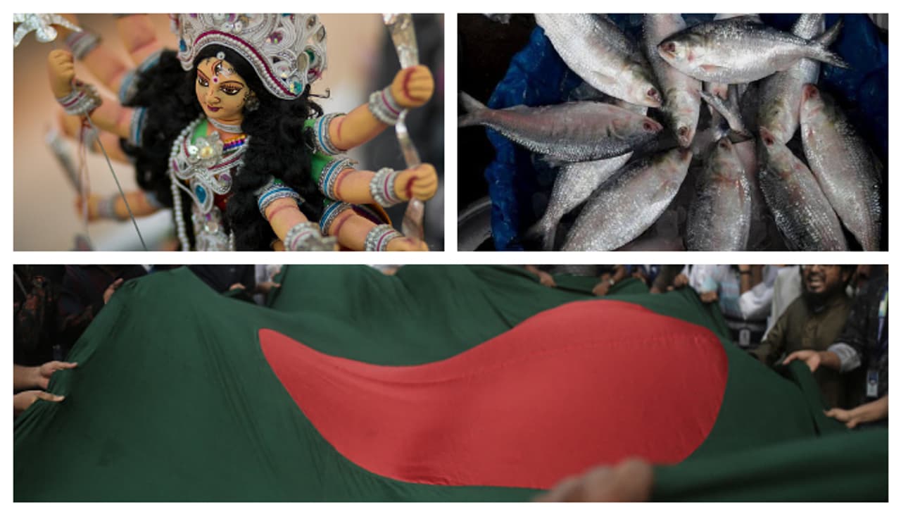 Good news before Durga Puja Bangladesh government is sending 3000 tons of hilsa bsm