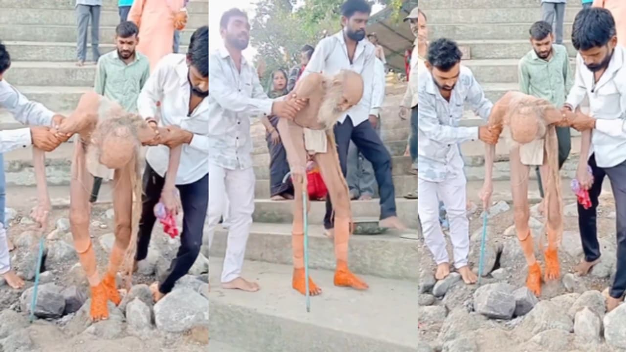 188 years old 188 years old