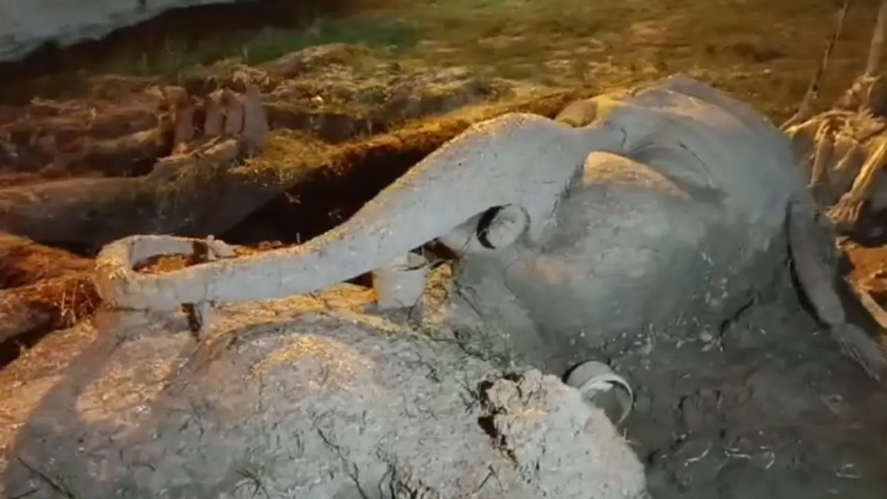 Durga Puja Durga Puja