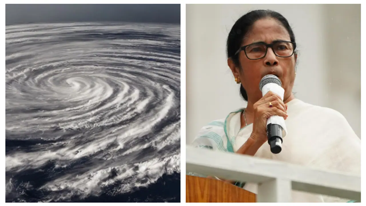 dana mamata dana mamata