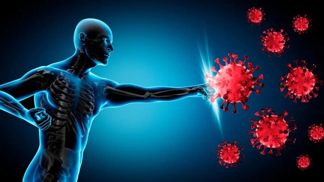 immunity boosting foods immunity boosting foods