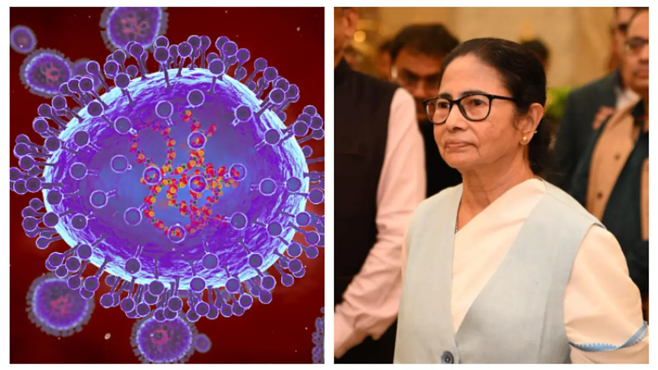 CM Mamata Banerjee sees conspiracy behind HMPV scare bsm CM Mamata Banerjee sees conspiracy behind HMPV scare bsm