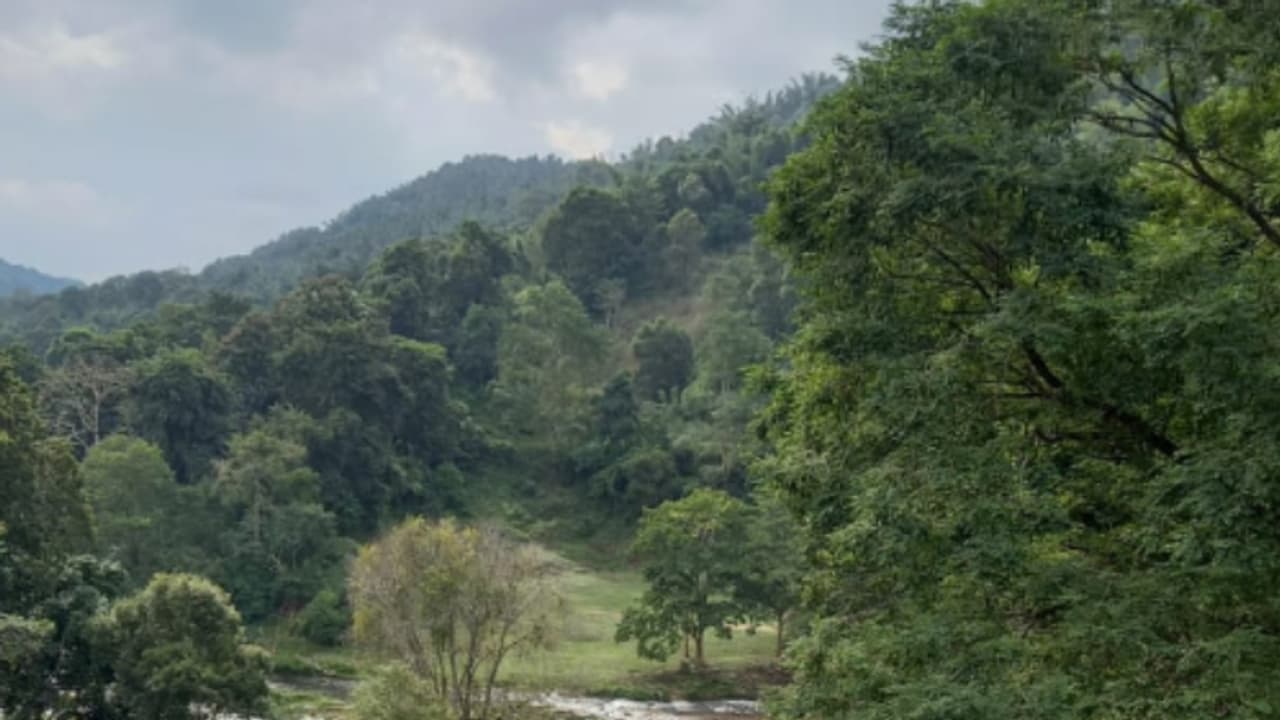 ATTAPPADI FOREST ATTAPPADI FOREST