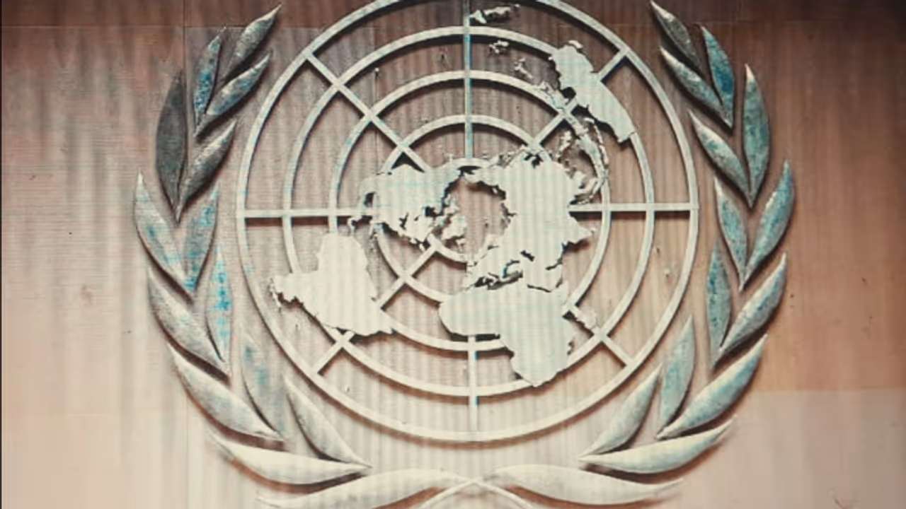 United Nation