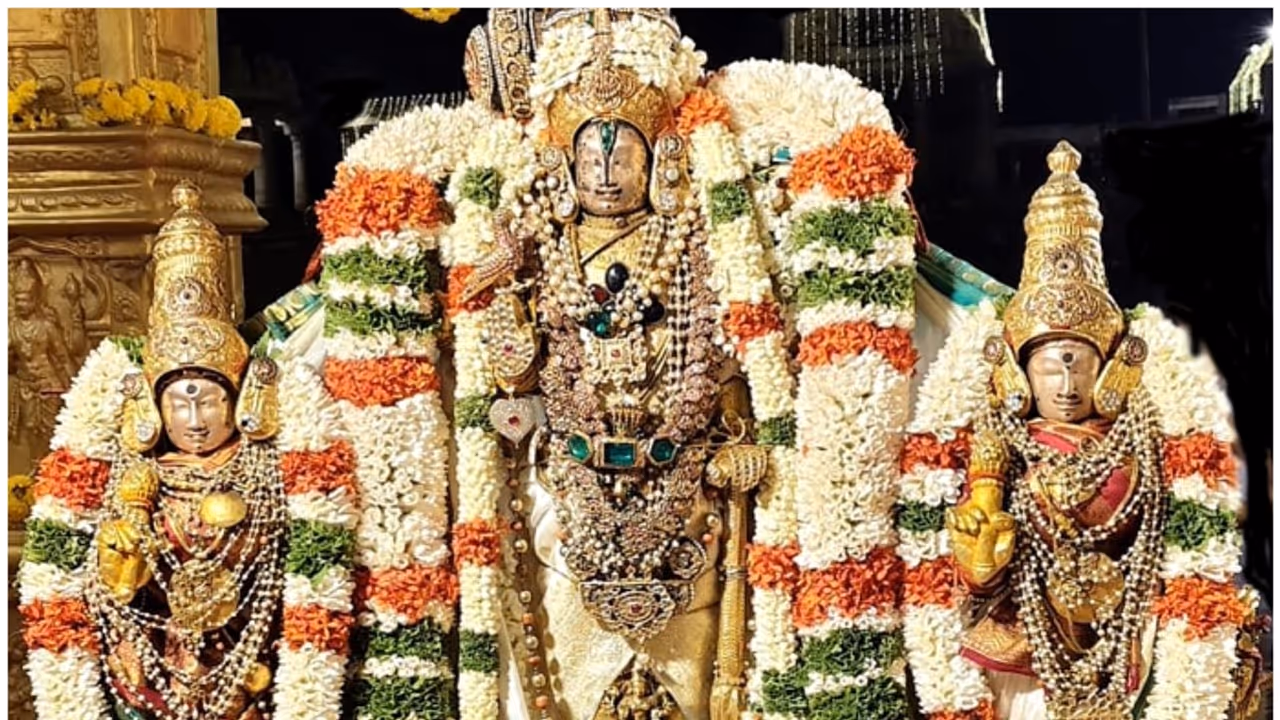 Melukote Rajamudi Utsav