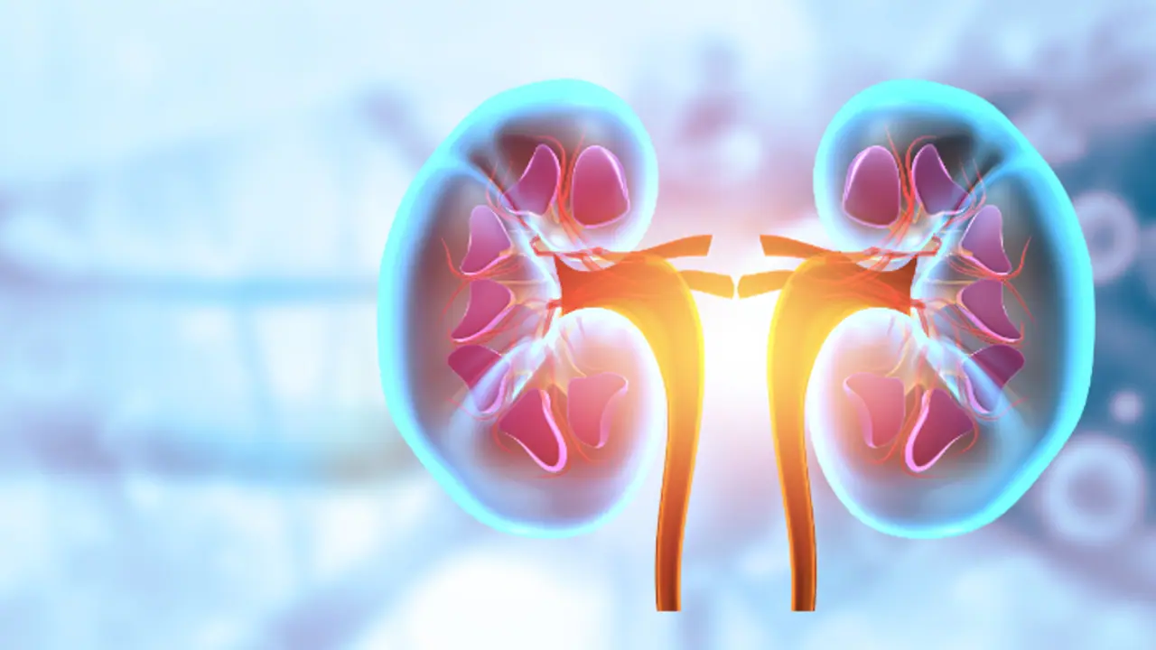 kidney health