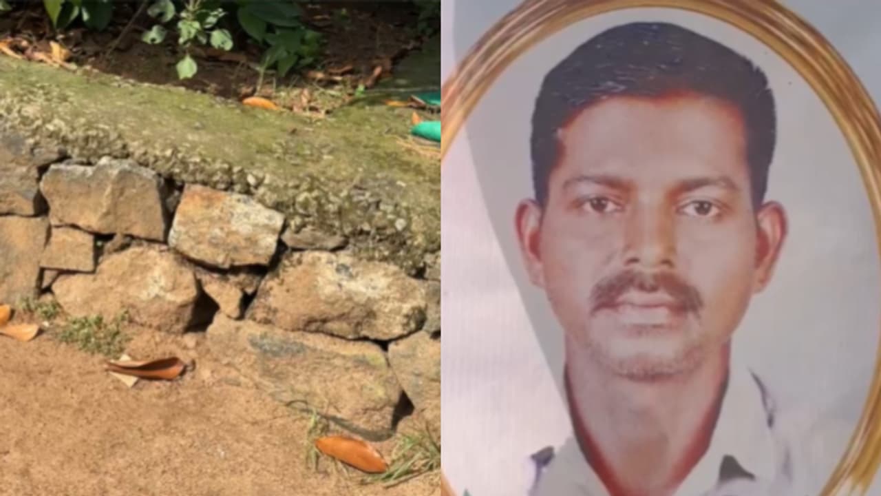 Snake bite death Snake bite death