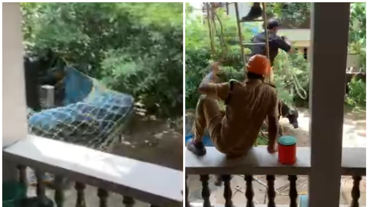 fire force fire force