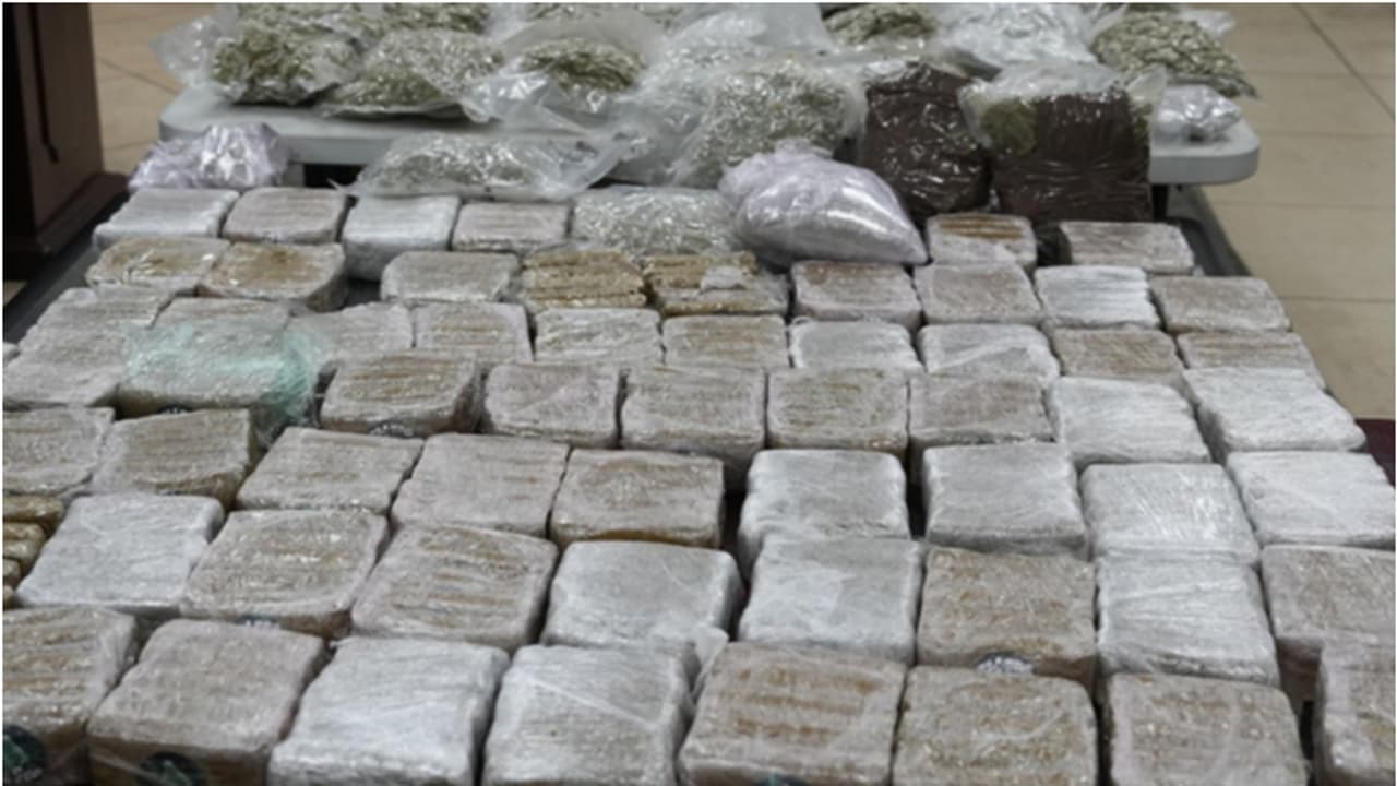 50 kilograms of drugs seized 50 kilograms of drugs seized
