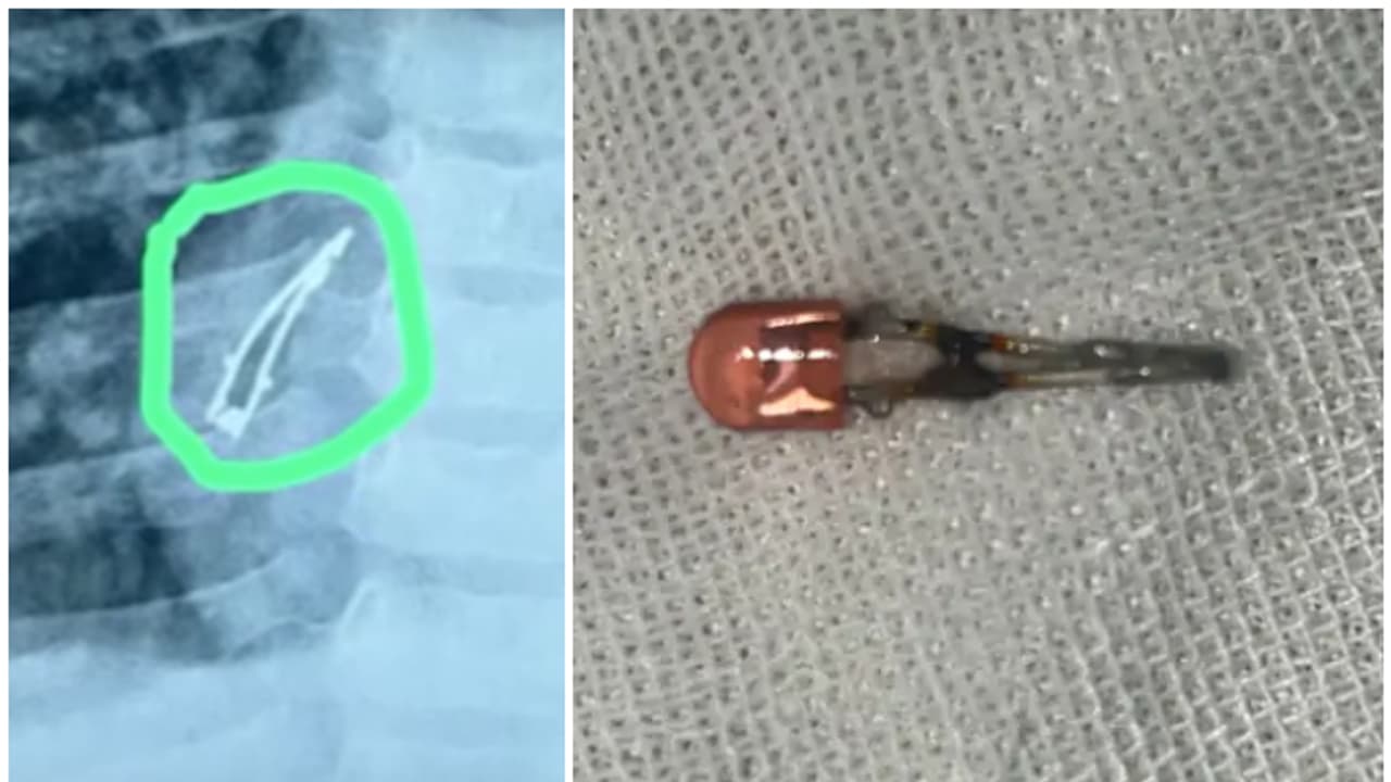 led bulb swalllow baby