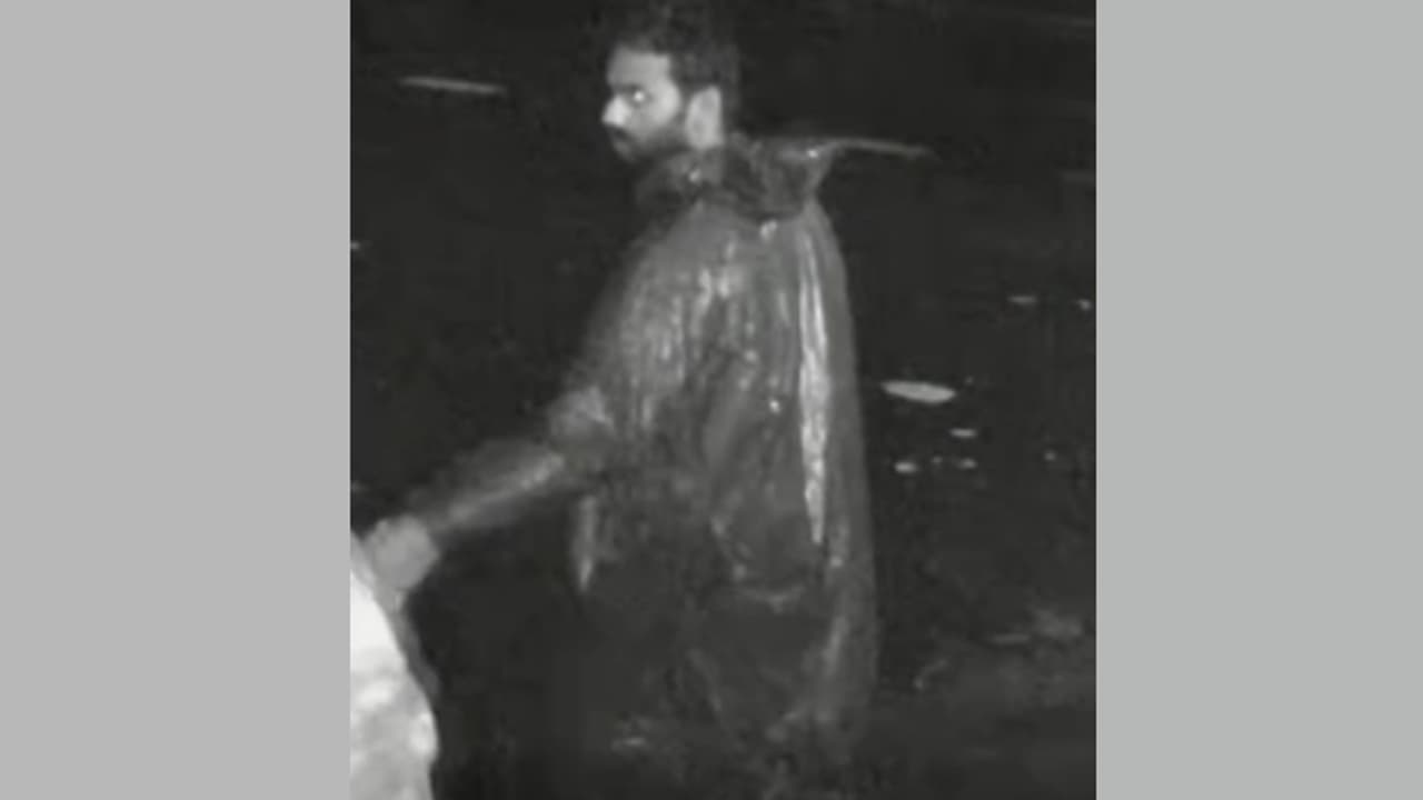 waste dumping waste dumping