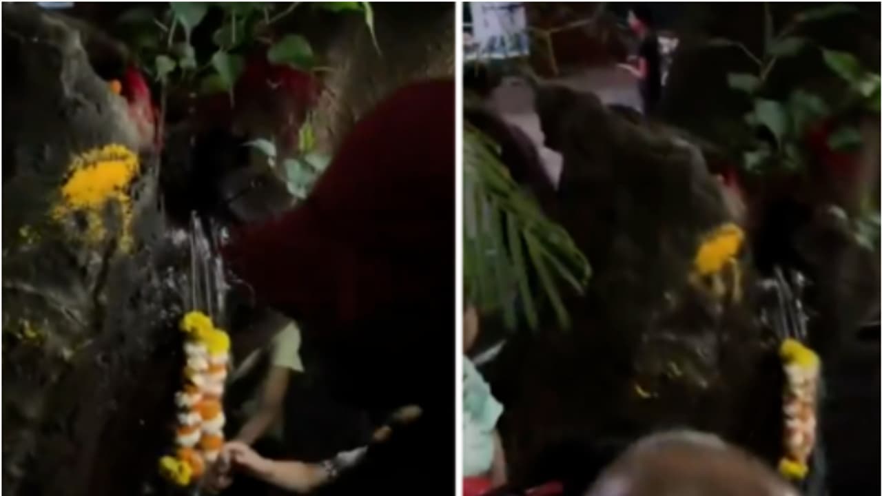 holy water from tree