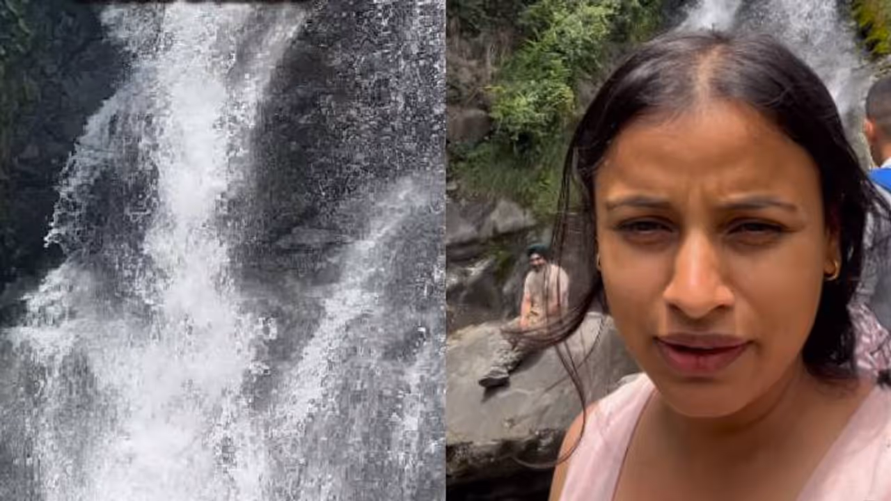 viral video viral video