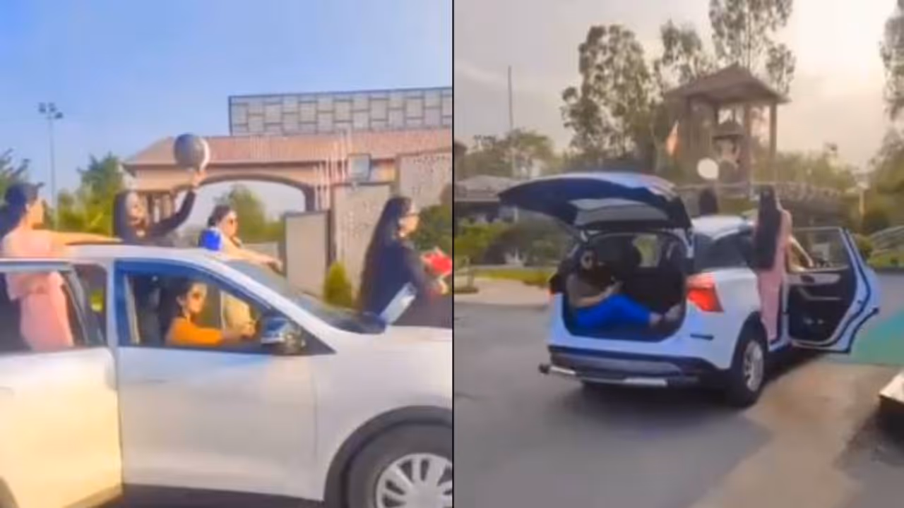 viral video viral video