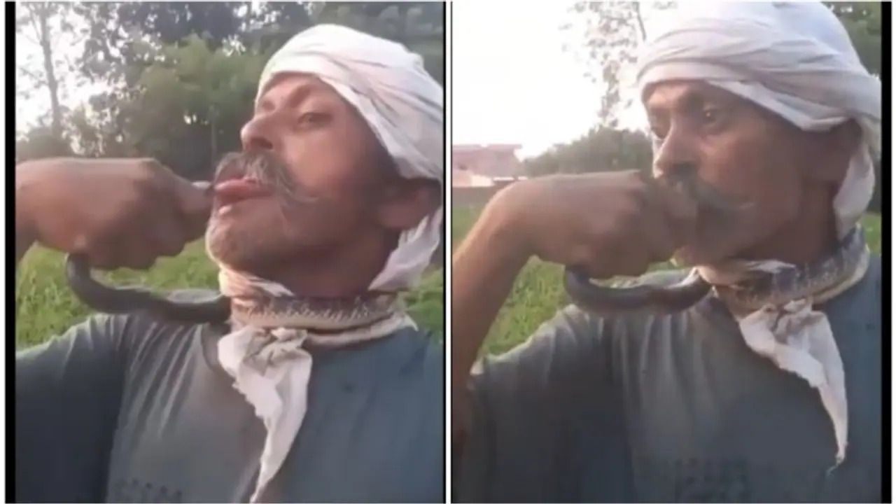 UP man tries to kiss snake to film reel, gets bitten