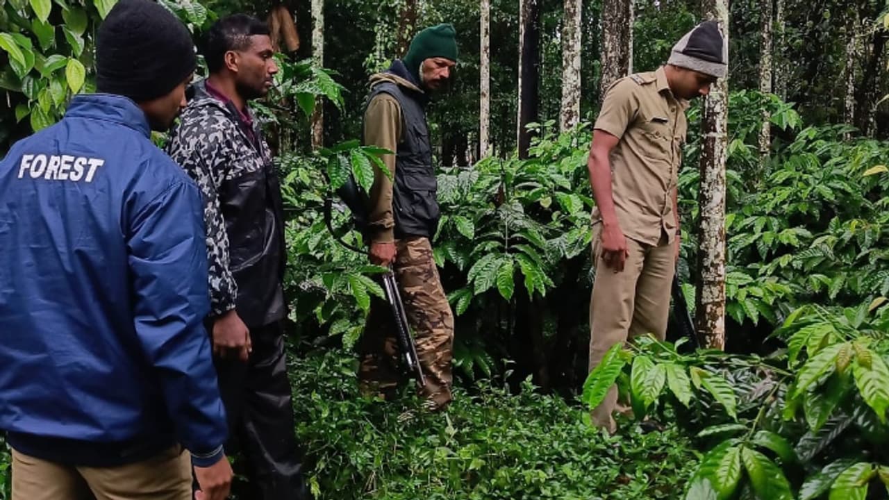 forest department official forest department official