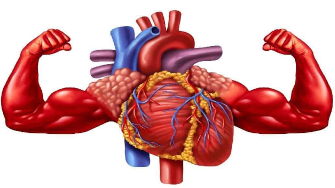 heart health heart health