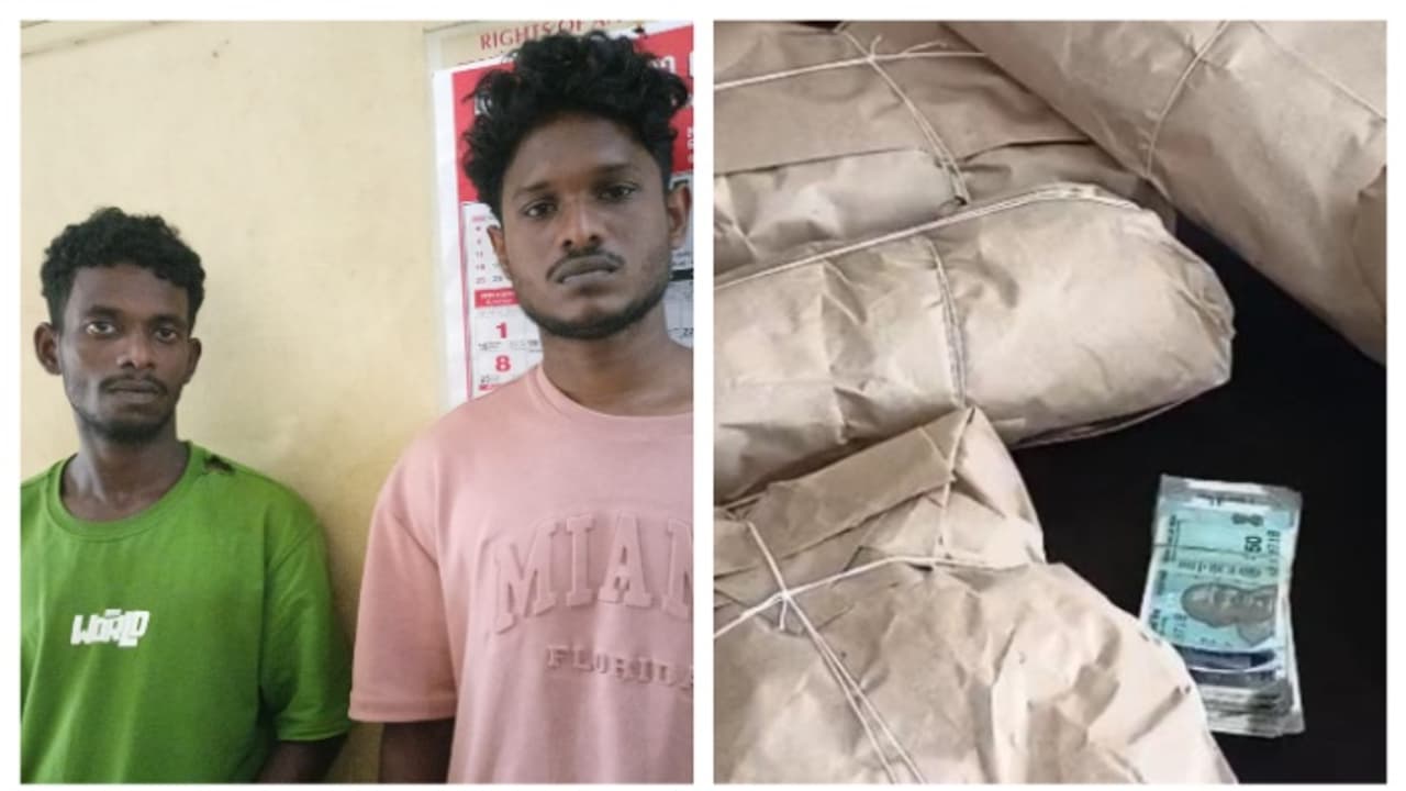 ganja arrest ganja arrest