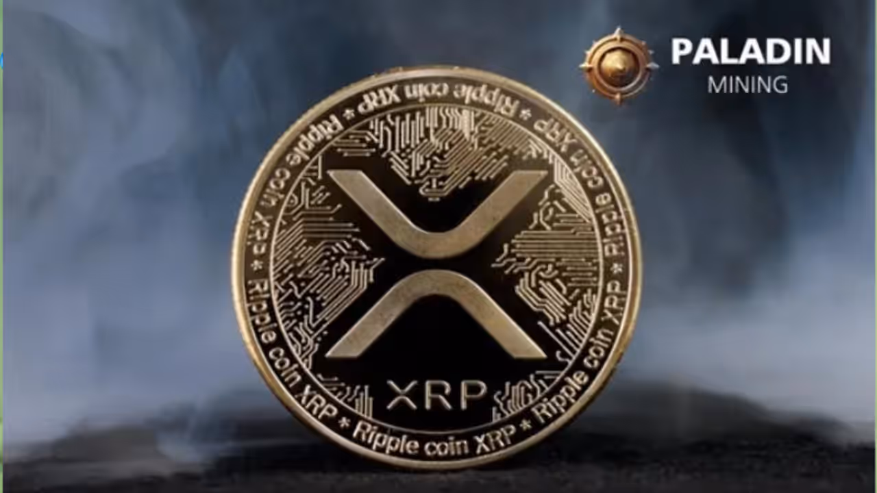 paladin mining paladin mining