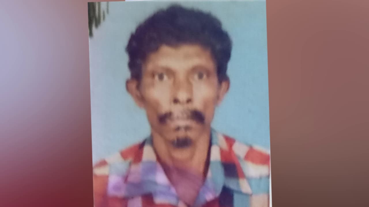 Elephant attack Death Elephant attack Death