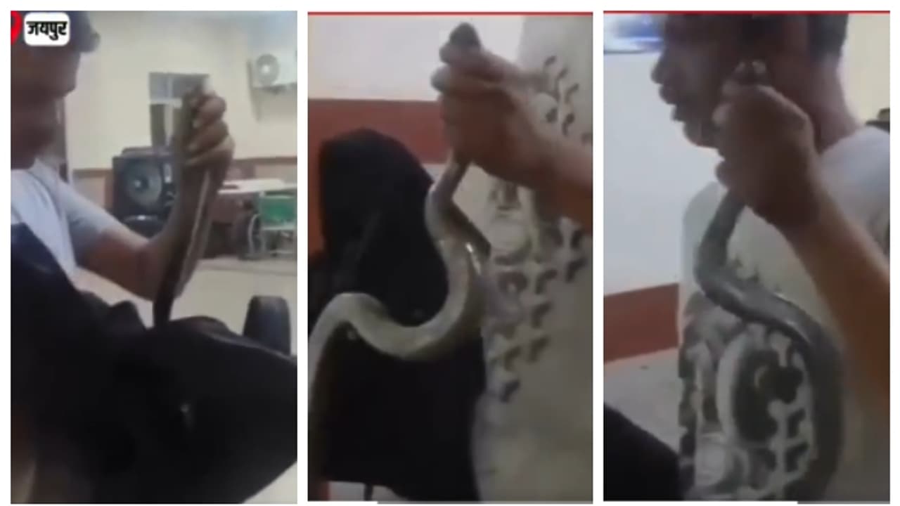 man took a snake out of bag in the hospital