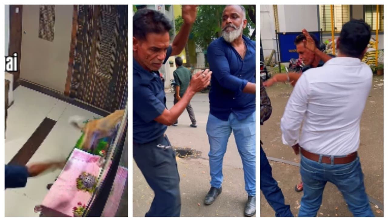 Mumbai animal activists attacked watchman