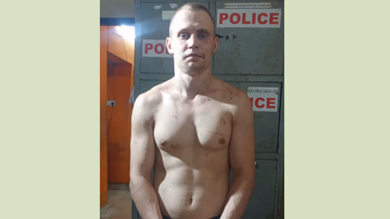 Ilia Ikkimo Ilia Ikkimo